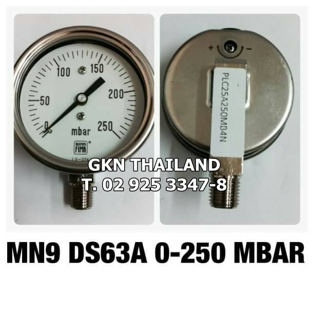 Pressure Gauge Nuova Fima 0-250 MBAR